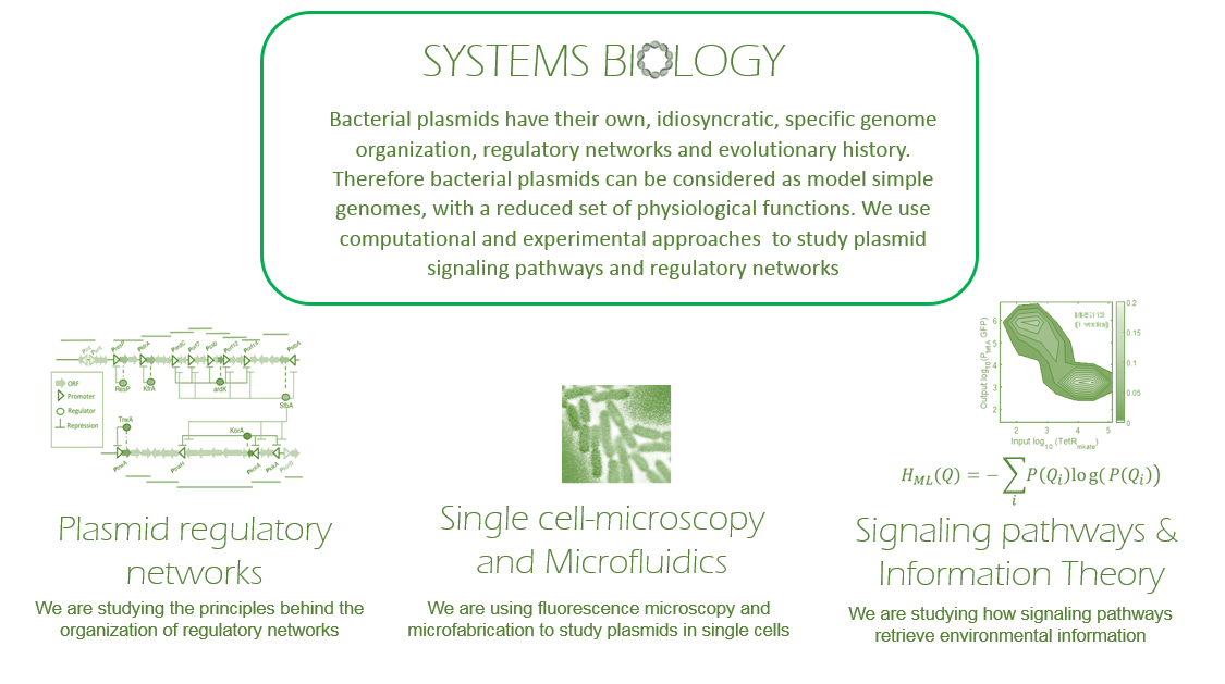 Ecology and evolution